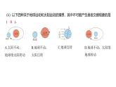 2.2 昼夜交替现象（习题课件)-2024-2025学年科学六年级上册教科版