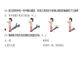 2.5 影长的四季变化（习题课件)-2024-2025学年科学六年级上册教科版