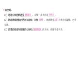 2.6 地球的公转与四季变化（习题课件)-2024-2025学年科学六年级上册教科版