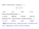 第二單元 地球的運動（習(xí)題課件)-2024-2025學(xué)年科學(xué)六年級上冊教科版