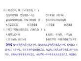 第二單元 地球的運動（習(xí)題課件)-2024-2025學(xué)年科學(xué)六年級上冊教科版