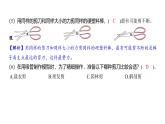 3.5 灵活巧妙的剪刀（习题课件)-2024-2025学年科学六年级上册教科版