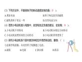 4.6 神奇的小电动机（习题课件)-2024-2025学年科学六年级上册教科版