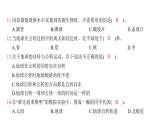 期中科学素养评价（习题课件)-2024-2025学年科学六年级上册教科版