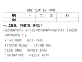 期末科学素养评价（习题课件)-2024-2025学年科学六年级上册教科版