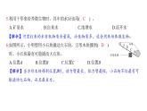 期末科学素养评价（习题课件)-2024-2025学年科学六年级上册教科版