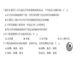 期末科学素养评价（习题课件)-2024-2025学年科学六年级上册教科版