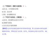1.1 光的思考（習(xí)題課件)-2024-2025學(xué)年科學(xué)五年級上冊教科版