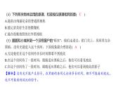 1.1 光的思考（習(xí)題課件)-2024-2025學(xué)年科學(xué)五年級上冊教科版