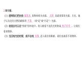 1.1 光的思考（習(xí)題課件)-2024-2025學(xué)年科學(xué)五年級上冊教科版