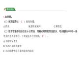 1.3 光的传播会遇到阻碍吗（习题课件)-2024-2025学年科学五年级上册教科版