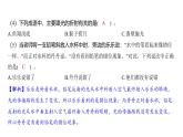 1.4 光的传播方向会发生改变吗（习题课件)-2024-2025学年科学五年级上册教科版