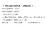 1.5 认识棱镜（习题课件)-2024-2025学年科学五年级上册教科版