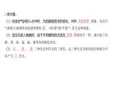 1.5 认识棱镜（习题课件)-2024-2025学年科学五年级上册教科版
