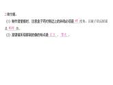 1.7 制作一个潜望镜（习题课件)-2024-2025学年科学五年级上册教科版