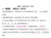 第一單元 光 科學(xué)素養(yǎng)評價(jià)（習(xí)題課件)-2024-2025學(xué)年科學(xué)五年級上冊教科版