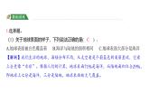 2.1 地球的表面（习题课件)-2024-2025学年科学五年级上册教科版