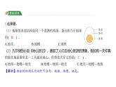 2.2 地球的结构（习题课件)-2024-2025学年科学五年级上册教科版