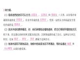 2.2 地球的结构（习题课件)-2024-2025学年科学五年级上册教科版