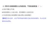2.4 火山喷发的成因及作用（习题课件)-2024-2025学年科学五年级上册教科版