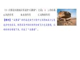 2.5 风的作用（习题课件)-2024-2025学年科学五年级上册教科版