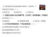 2.5 风的作用（习题课件)-2024-2025学年科学五年级上册教科版