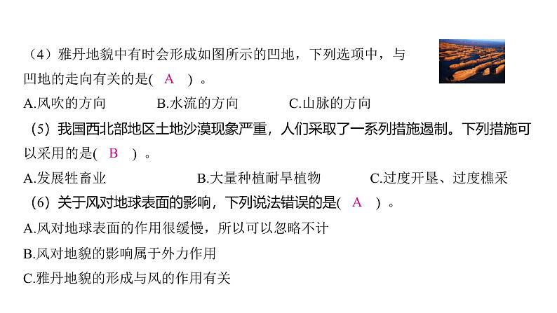 2.5 风的作用（习题课件)-2024-2025学年科学五年级上册教科版04