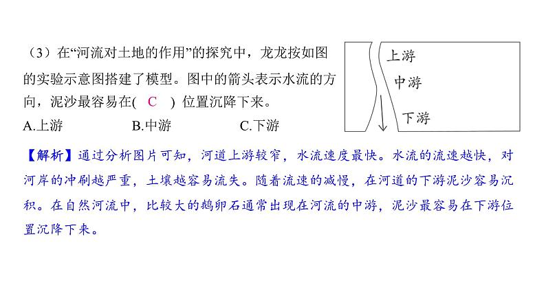 2.6 水的作用（习题课件)-2024-2025学年科学五年级上册教科版03