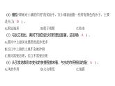 2.6 水的作用（习题课件)-2024-2025学年科学五年级上册教科版