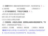 2.7 总结我们的认识（习题课件)-2024-2025学年科学五年级上册教科版