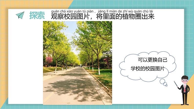 1.1 我们认识的植物（课件+教学设计）-2024-2025学年科学一年级上册教科版（2024）04