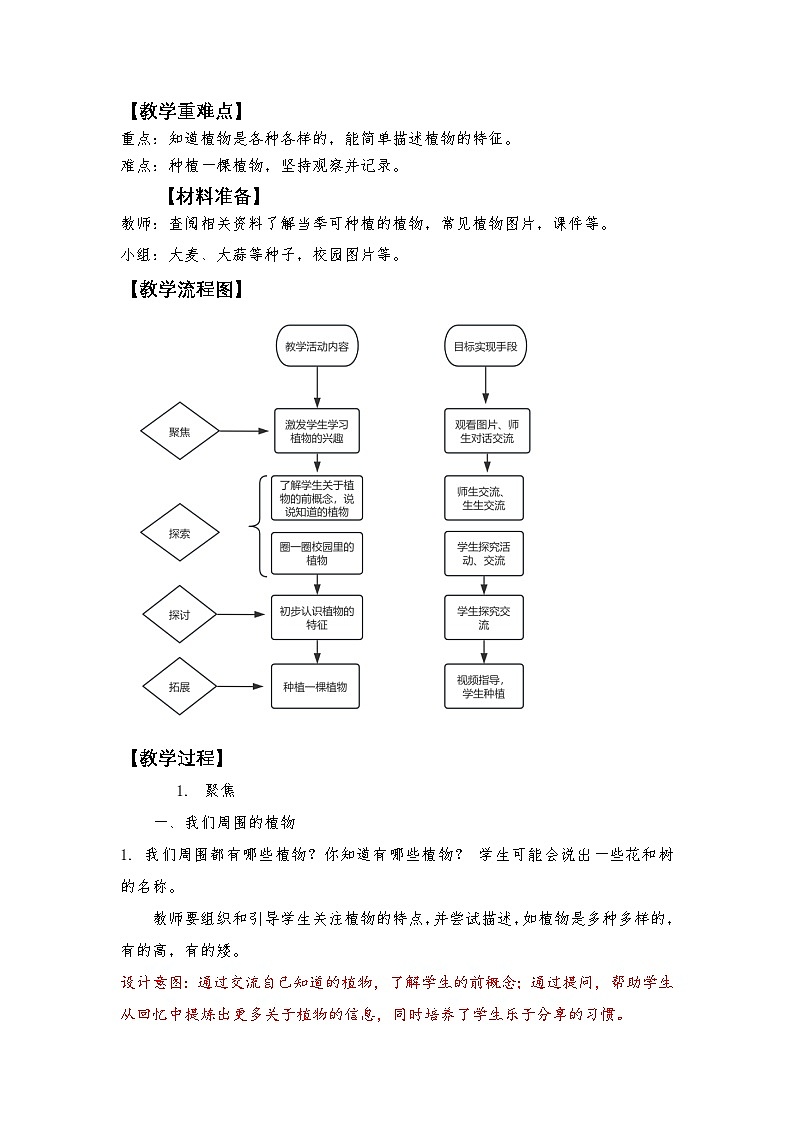 1.1 我们认识的植物（课件+教学设计）-2024-2025学年科学一年级上册教科版（2024）02