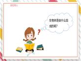 【大单元整体教学】大象版科学六年级上册1.1显微镜下的细胞 单元整体设计+课时课件+课时教案