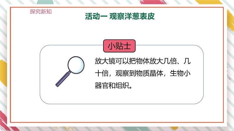 【大单元整体教学】大象版科学六年级上册1.1显微镜下的细胞 单元整体设计+课时课件+课时教案08