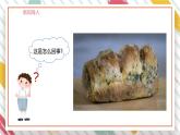 【大单元整体教学】大象版科学六年级上册1.3发霉的馒头 单元整体设计+课时课件+课时教案