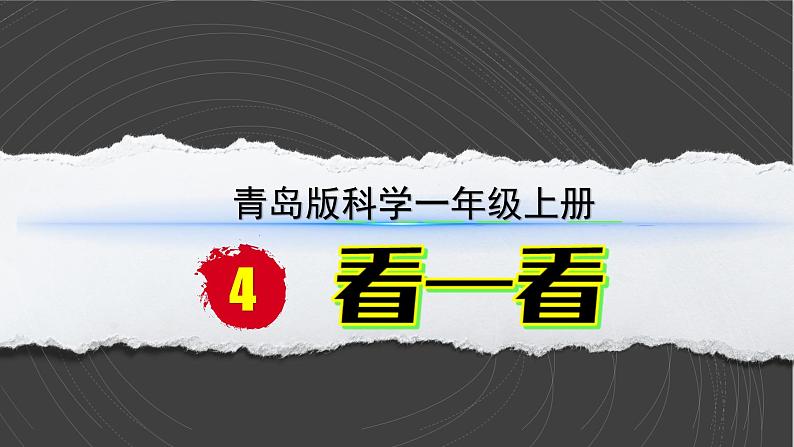 （2024）青岛版科学一年级上册（2.3）看一看PPT课件02