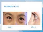 （2024）青岛版科学一年级上册（2.3）看一看PPT课件