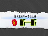 （2024）青岛版科学一年级上册（2.4）听一听PPT课件