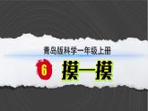 （2024）青岛版科学一年级上册（2.6）摸一摸PPT课件