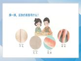 （2024）青岛版科学一年级上册（2.6）摸一摸PPT课件