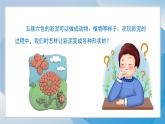 （2024）青岛版科学一年级上册（3.8）玩彩泥PPT课件