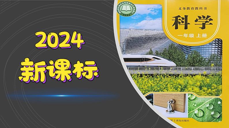 （2024）青岛版科学一年级上册（3.7）玩磁铁PPT课件01