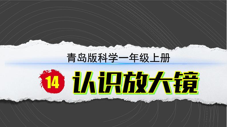 （2024）青岛版科学一年级上册（5.15）认识放大镜PPT课件02