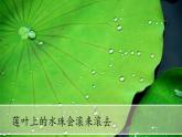 （2024）青岛版科学一年级上册（1）吹泡泡PPT课件