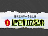 （2024）青岛版科学一年级上册（2）把它们立起来PPT课件