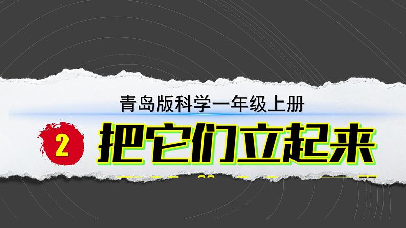 （2024）青岛版科学一年级上册（2）把它们立起来PPT课件02