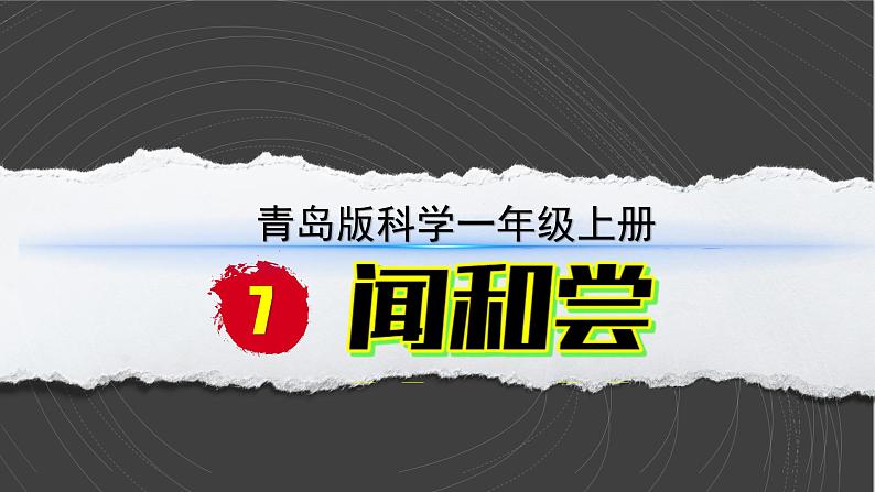 （2024）青岛版科学一年级上册（7）闻和尝PPT课件02