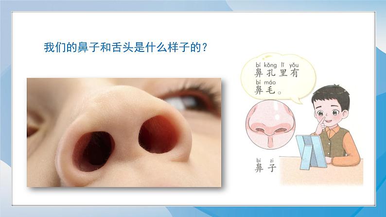 （2024）青岛版科学一年级上册（7）闻和尝PPT课件06