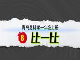 （2024）青岛版科学一年级上册（8）比一比PPT课件