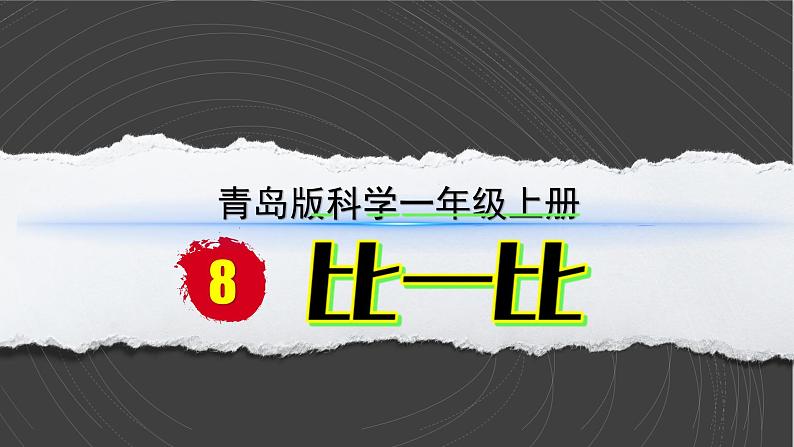 （2024）青岛版科学一年级上册（8）比一比PPT课件02